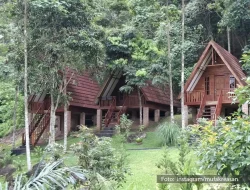 Banyu Langit Pesawaran, Tempat Healing dan Camping Hits di Lampung