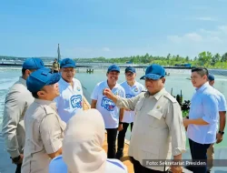 Prabowo Panen Raya Udang Vaname di Kebumen, Tambak Hasilkan 40 Ton per Hektare