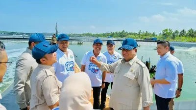Prabowo Panen Raya Udang Vaname di Kebumen, Tambak Hasilkan 40 Ton per Hektare