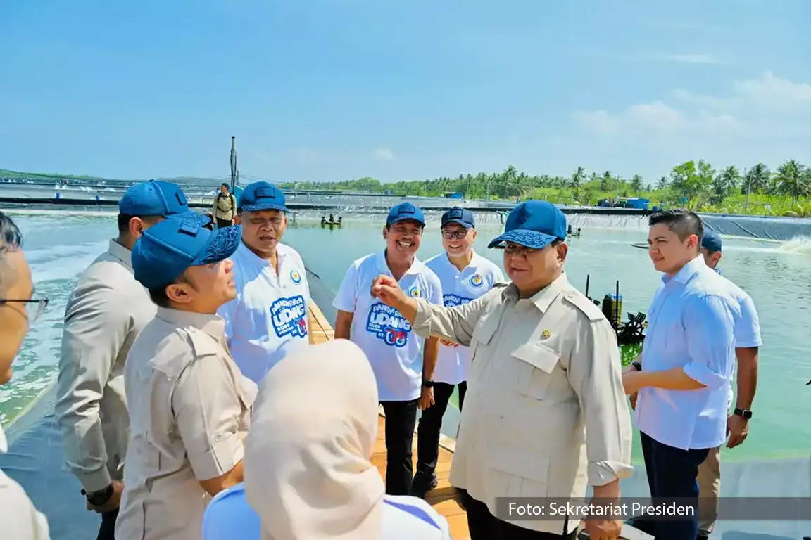 Prabowo panen raya udang vaname di Kebumen.