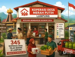 345 Koperasi Merah Putih Berdiri di Lampung, Terbanyak di Luar Jawa