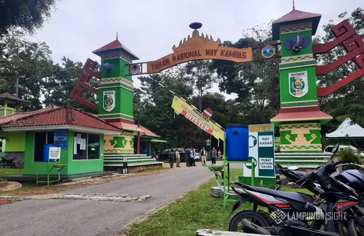 6 Wisata Lampung Timur yang Wajib Dikunjungi, dari Way Kambas hingga Pantai Eksotis