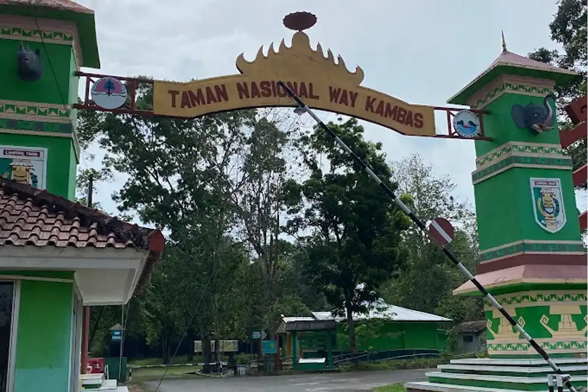 Way Kambas Kembali Dibuka, Kini Hadir dengan Safari Night dan Wisata Satwa Liar