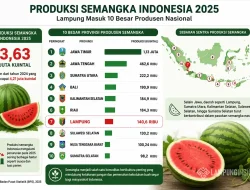 Lampung Masuk 10 Besar Produsen Semangka Indonesia 2025, Sumbang 140,6 Ribu Kuintal