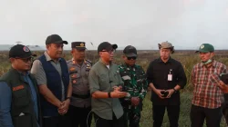 Gubernur Mirza Tinjau Karhutla Lampung Timur, Pastikan Api Tak Meluas ke TN Way Kambas