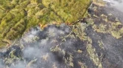 Karhutla TN Way Kambas Ditangani dengan Water Bombing, Helikopter dari Jawa Timur Dikerahkan