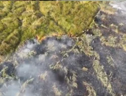 Karhutla TN Way Kambas Ditangani dengan Water Bombing, Helikopter dari Jawa Timur Dikerahkan