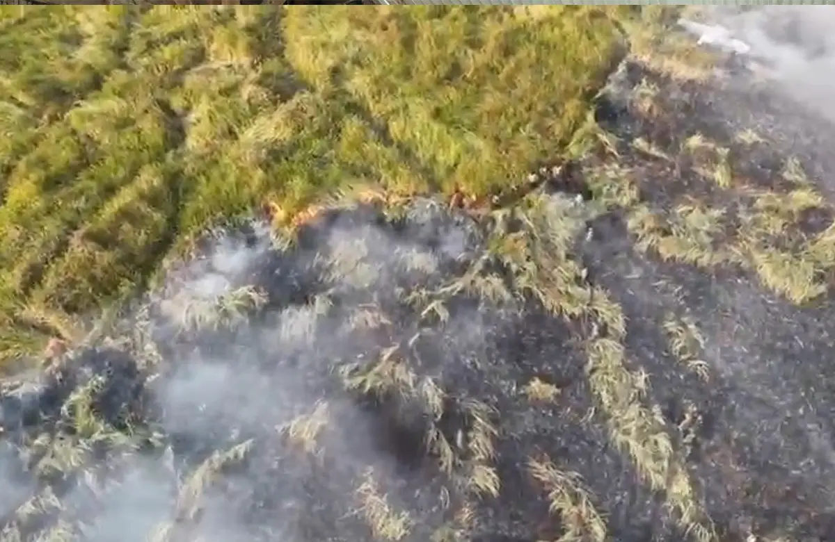 Karhutla TN Way Kambas Ditangani dengan Water Bombing, Helikopter dari Jawa Timur Dikerahkan