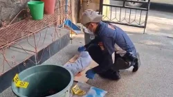 Mayat Bayi Perempuan Ditemukan di Tempat Sampah Pahoman Bandar Lampung