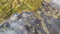 Prabowo Soroti Karhutla Way Kambas, Dua Helikopter Water Bombing Dikerahkan