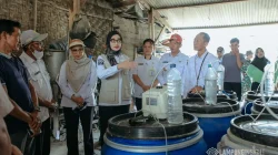 Wagub Lampung Jihan Nurlela Tinjau Produksi Pupuk Hayati Cair
