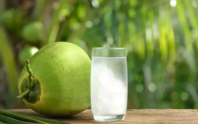 10 Manfaat Air Kelapa untuk Kesehatan