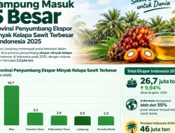 Lampung Masuk 5 Besar Provinsi Penyumbang Ekspor Minyak Kelapa Sawit Terbesar 2025
