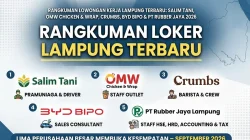 Lowongan Kerja Lampung Terbaru: Salim Tani, OMW Chicken & Wrap, Crumbs, BYD BIPO & PT Rubber Jaya 2026