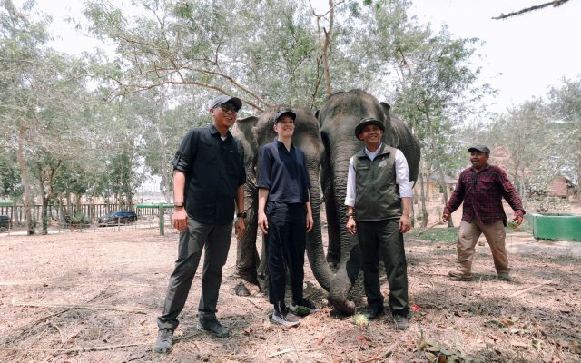 Peninjauan pembangunan fasilitas mitigasi konflik manusia dan gajah di Taman Nasional Way Kambas