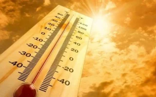 406 Hotspot Terdeteksi di Lampung, Terbanyak di Tulang Bawang