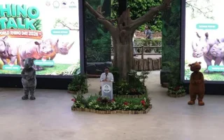 Dua Badak Sumatera Bunting di Way Kambas, Harapan Baru Konservasi
